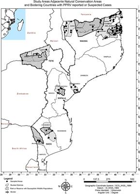 Peste des Petits Ruminants Virus Surveillance in Domestic Small Ruminants, Mozambique (2015 and 2017)